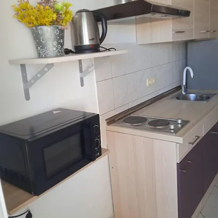 Apartment Tudek Vir